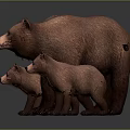 Three Brown Bears Adult And Two Cubs Standing Together On Gray Background