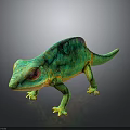 Vibrant Green Chameleon With Red Eyes And Yellow Spots On Dark Background And Reflective Floor