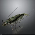 Detailed 3D Rendered Shrimp Featuring Green Brown Stripes Long Antennae Transparent Body On Black Background