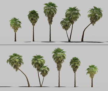 The Modern Tree 3d model