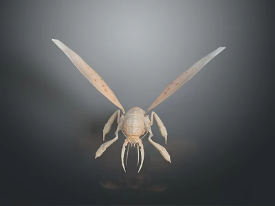 Detailed 3D Insect Model With Transparent Wings And Clear Body Structure 3d model