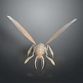Detailed 3D Insect Model With Transparent Wings And Clear Body Structure