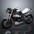 Triumph Modern Motorcycle With White Black Body Gold Fork And White Seat Design