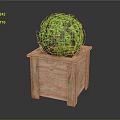 Green Round Topiary Plant In Wooden Square Decorative Planter Box