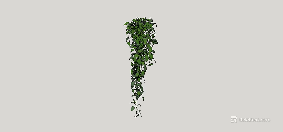 Indoor Hanging Green Vine Plant With Trailing Leaves And Lush Foliage 3d model 