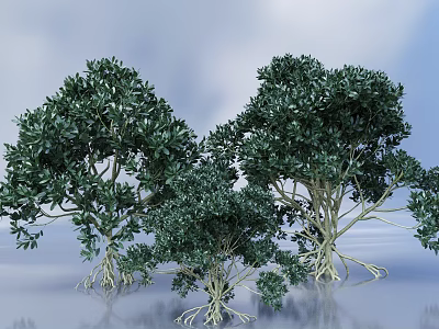 Mangrove landscape sketch plant large plant landscape tree big tree 3D model 3d model