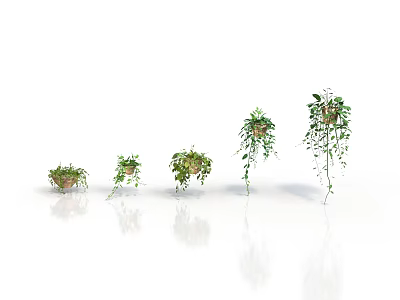 Different Types of Hanging Plants in Baskets with Green Vines on White Background 3d model