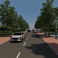 Municipal Road With Lined Trees Street Lamps Sidewalks And Vehicles