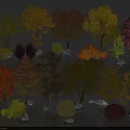 Various Shaped Trees with Yellow Orange Red Green Leaves and Small Stones Around