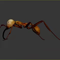 Close Up View Of Red And Yellow Ant With Long Legs On Dark Background