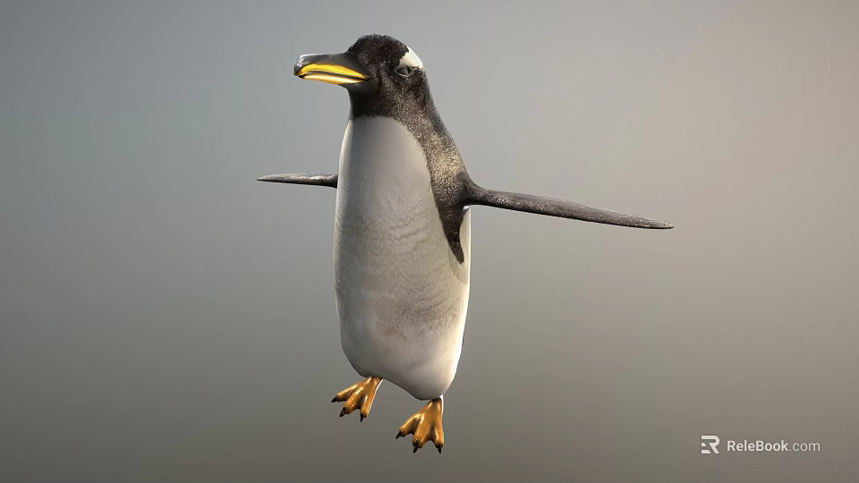 Flying Animal Penguin with Yellow Beak Black and White Feathers Spread Wings in Gray Background 3d model 