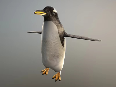 Flying Animal Penguin with Yellow Beak Black and White Feathers Spread Wings in Gray Background 3d model