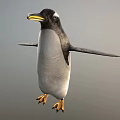 Flying Animal Penguin with Yellow Beak Black and White Feathers Spread Wings in Gray Background