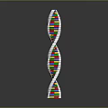 Colorful DNA Helix Model Toy With Plastic Building Segments For Education