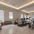 Modern Home Gym Space With Treadmills Exercise Bikes Dumbbell Rack And Wooden Flooring