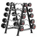 UFC Sports Equipment Dumbbell Rack with Various Weight Plates and Multi Layer Design