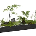 Lush Bonsai Planter with Ferns Rocks and Moss in Gray Rectangular Container 3d model