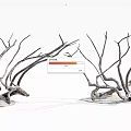 Natural Dry Arbor Branches With Twisted Bare Structure On White Background 3d model