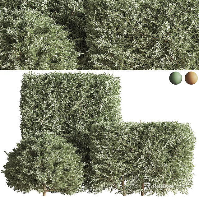 Well Trimmed Square Shaped Landscape Shrubs With Green And Brown Decorative Balls 3d model 
