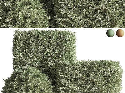 Well Trimmed Square Shaped Landscape Shrubs With Green And Brown Decorative Balls 3d model