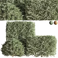 Well Trimmed Square Shaped Landscape Shrubs With Green And Brown Decorative Balls