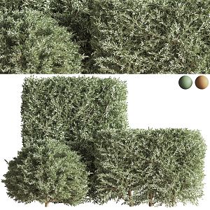 modern shrub green plant dead branch shrub 3d model