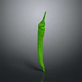 Vibrant Fresh Green Chili Pepper Standing On Gray Background Surface