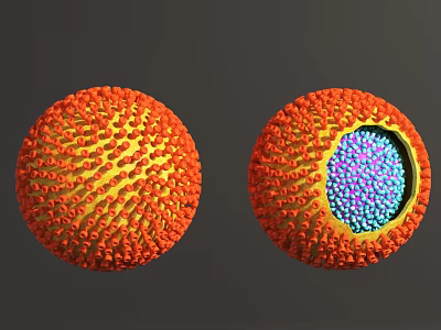 Virus Structure External View And Internal Cross Section With Orange Spikes And Blue Purple Particles 3d model