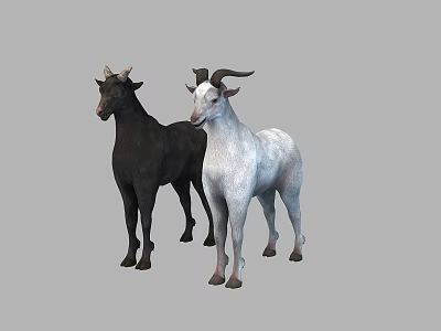 Lamb 3d model