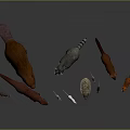 Detailed Small Wild Animal Character Models With Beaver Raccoon Fox And Hedgehog