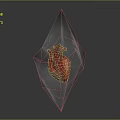 Transparent Diamond Shaped Crystal With Organ And Hair Internal Structure In Vibrant Colors
