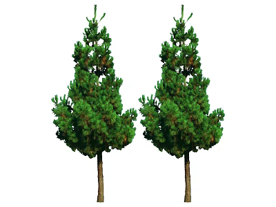 Two Green Arbor Trees With Lush Foliage And Straight Brown Trunks 3d model