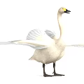 White Swan with Spread Wings Yellow Eyes Black Beak and Legs