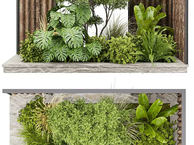 Garden Landscape Design With Wooden Frame Stone Background Lush Monstera Ferns Herbs And Shrubs 3d model