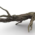 Natural Dry Tree Log With Rough Texture And Branchy Structure For Decoration 3d model