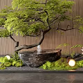 Serene Zen Garden Scene With Small Stone Fountain Lush Moss And Soft Light