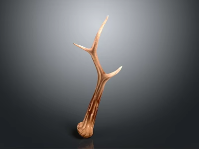Brown Wooden Antler Sculpture As Modern Decor With Dark Backdrop 3d model