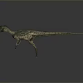 Realistic Velociraptor 3D Model Standing Pose With Open Mouth And Detailed Skin
