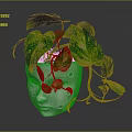 Pothos Plant With Green And Yellow Variegated Leaves In White Face Shaped Pot