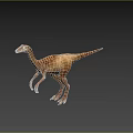 Realistic Bipedal Dinosaur Model With Brown Beige Skin Texture And Long Tail
