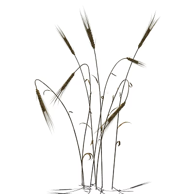 modern grass 3d model