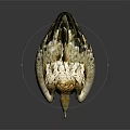 Yellow Headed Vulture Standing With Brown And White Feathers On Dark Reflective Surface