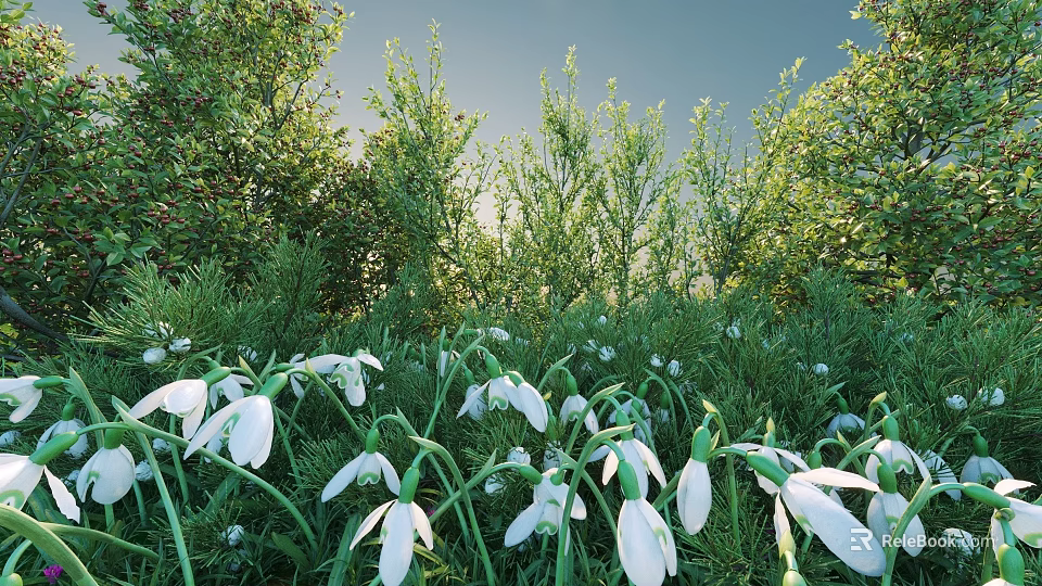 Blooming Green Shrubs In Outdoor Garden With White Snowdrops And Fresh Foliage 3d model 