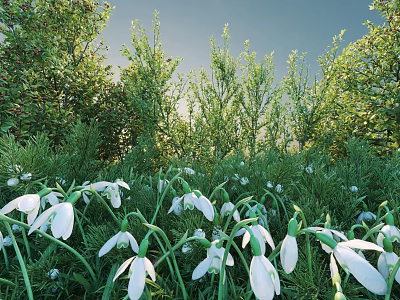 Blooming Green Shrubs In Outdoor Garden With White Snowdrops And Fresh Foliage 3d model