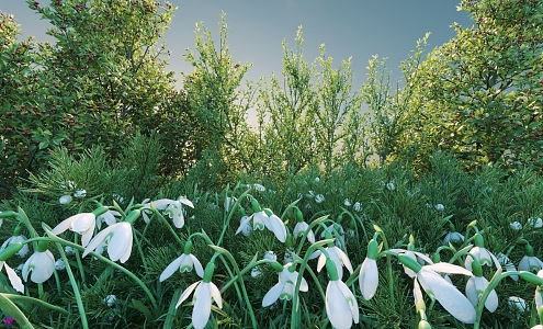 Flowers and Plants Combination Landscape Shrubs Plant Combination Natural Landscape 3d model