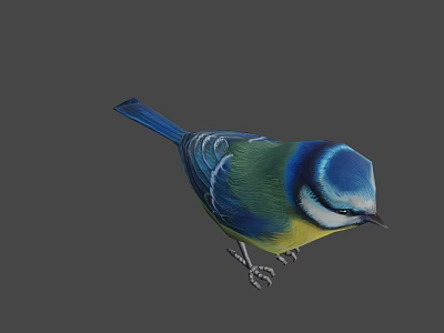 Colorful Bird With Blue Head Green Body Yellow Belly And White Stripes 3d model