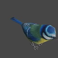 Colorful Bird With Blue Head Green Body Yellow Belly And White Stripes