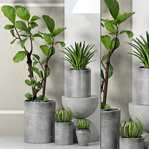 modern potted plant green plant potted plant 3d model