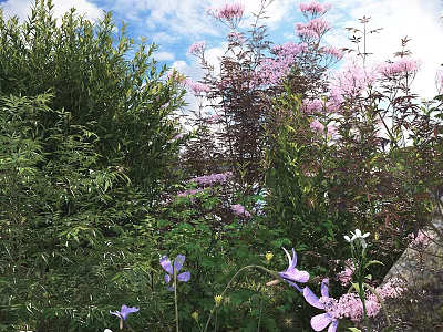Beautiful Garden Bushes With Pink Flowers And Green Leaves Under Blue Sky 3d model