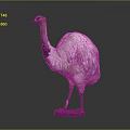 Realistic Ostrich Bird Specimen Standing On Dark Background With Detailed Plumage